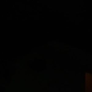 Meet your Posher, Cory